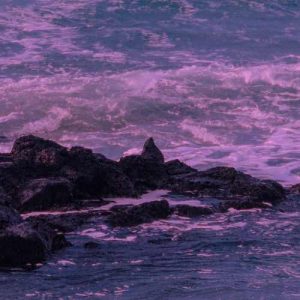 دانلود آهنگ از هجوم کرکسان شوم قلب من گرفت